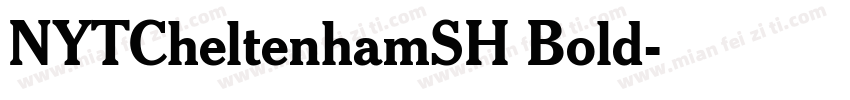 NYTCheltenhamSH Bold字体转换